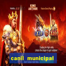 canil municipal porto alegre